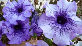 K800_neue 1253.webp