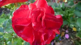 K800_neue 1250.webp
