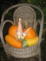 garten 09 013.webp