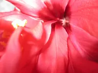 IMG_0890.webp