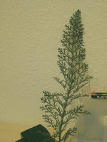 test1.webp