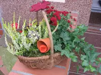 Auch ein Geschenk.webp