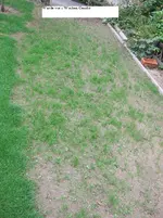 DSCF1174.webp