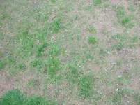 DSCF1175.webp