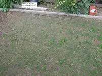 DSCF1176.webp
