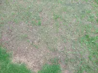 DSCF1177.webp