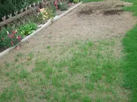 DSCF1178.webp