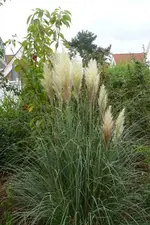 P1080880_400_600.webp