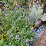 P1080878_600_600.webp
