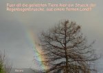 Regenbogen bruecke v.jpg