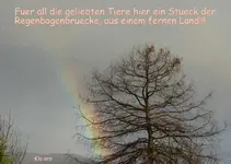 Regenbogen bruecke v.webp