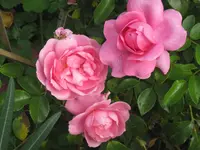 022.webp