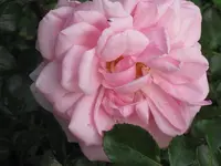 024.webp