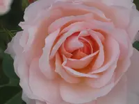 025.webp