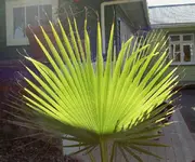 Herbst 395 v.webp