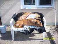 Bild 002_640x480.webp