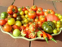 SL370125.webp