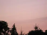 IMG_0696.webp