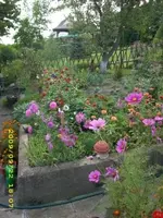 JD500132.webp