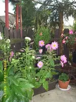 JD500142.webp