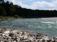 P1040133.webp