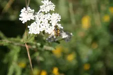 012.webp