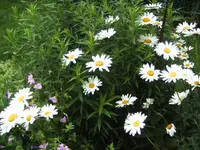 BILD0168.webp