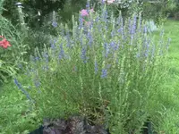 BILD0113.webp