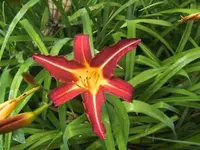 BILD0170.webp