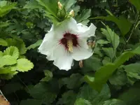 BILD0145.webp