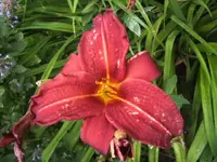 BILD0172.webp