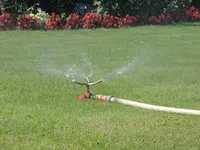 DSCN8109.webp