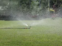 DSCN8115.webp