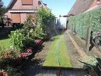 DSCN8116.webp