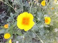 DSCI0473.webp