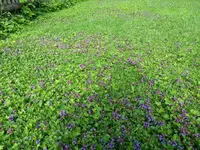 IMG_20180714_094346632.webp