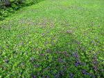 IMG_20180714_094346632.jpg