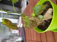 20180713-153818.webp