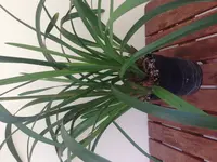 IMG_3789.webp IMG_3789.webp