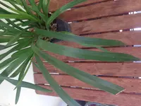 IMG_3791.webp IMG_3791.webp