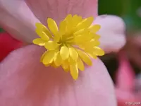 c073.webp