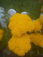 DSC05119.webp