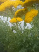 DSC05120.webp
