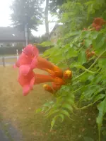 DSC05117.webp