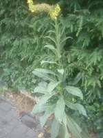 DSC05123.webp
