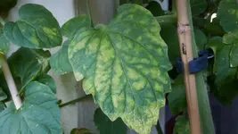 20180714_195744.jpg