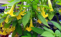20180706_083312.webp