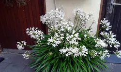 20180706_083324.webp