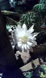 20180714_223944.webp
