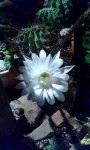 20180714_224009.jpg